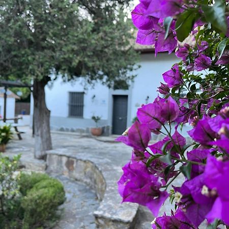 Complejo Rural Huerta Grande Guest House Algeciras Exterior photo