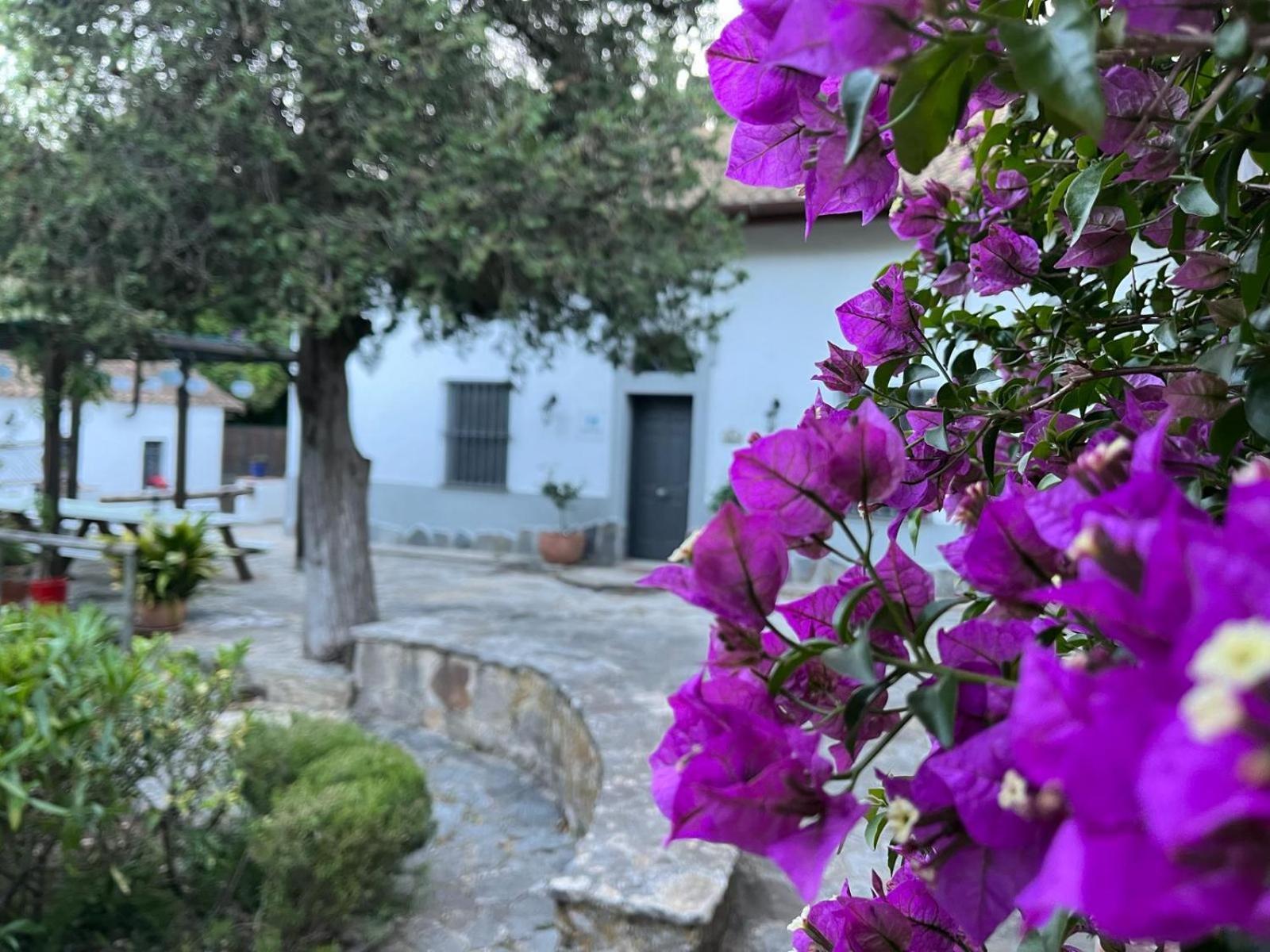 Complejo Rural Huerta Grande Guest House Algeciras Exterior photo